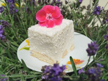 Sernik kokosowy bez pieczenia